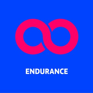 nfg endurance icon